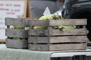 Midway Farmers Market 8